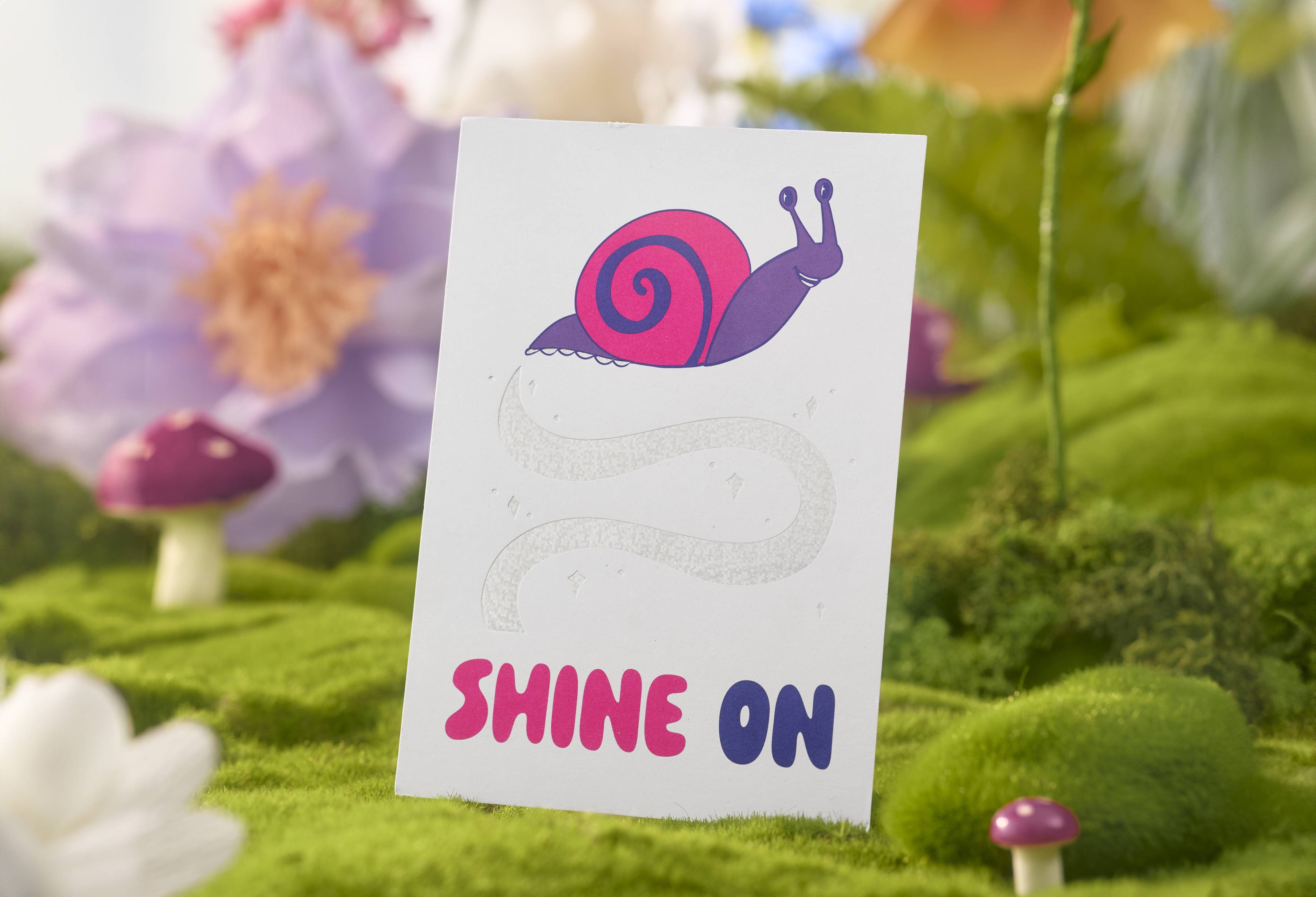 Shine On Postcard