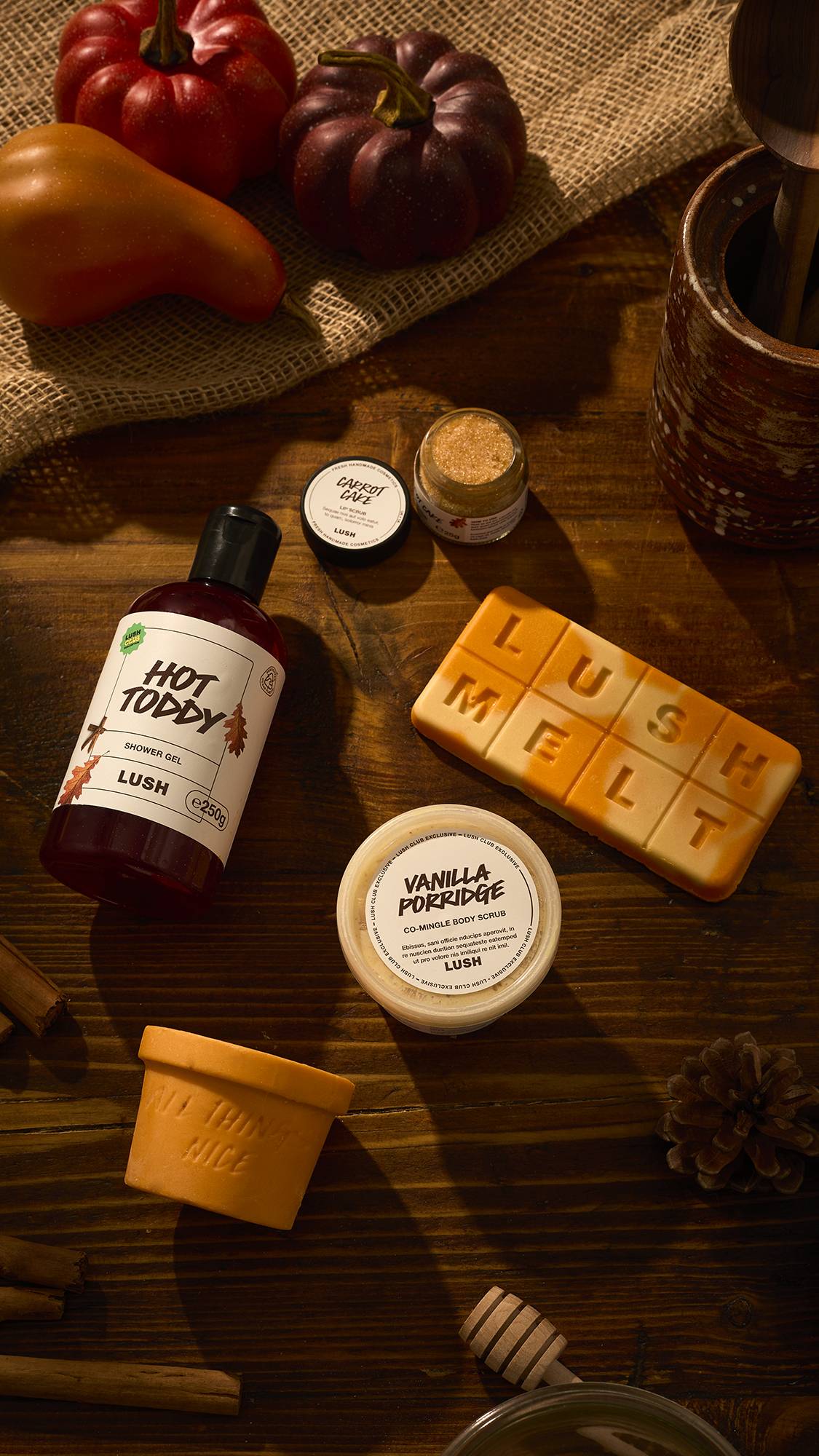 Lush Club Subscription Shower Box | Subscription | LUSH