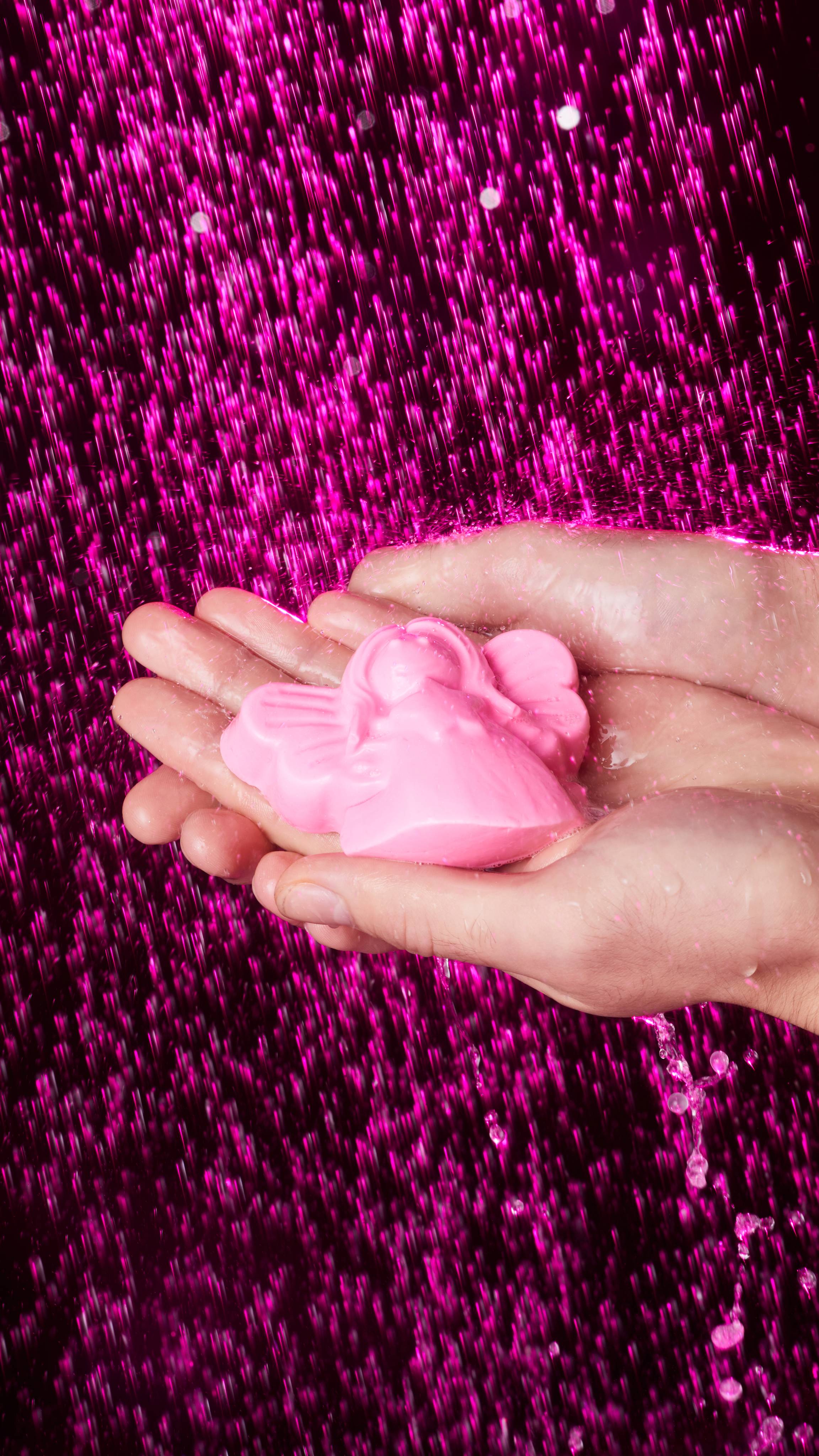 フェアリー クリスマス ギフト | LUSH