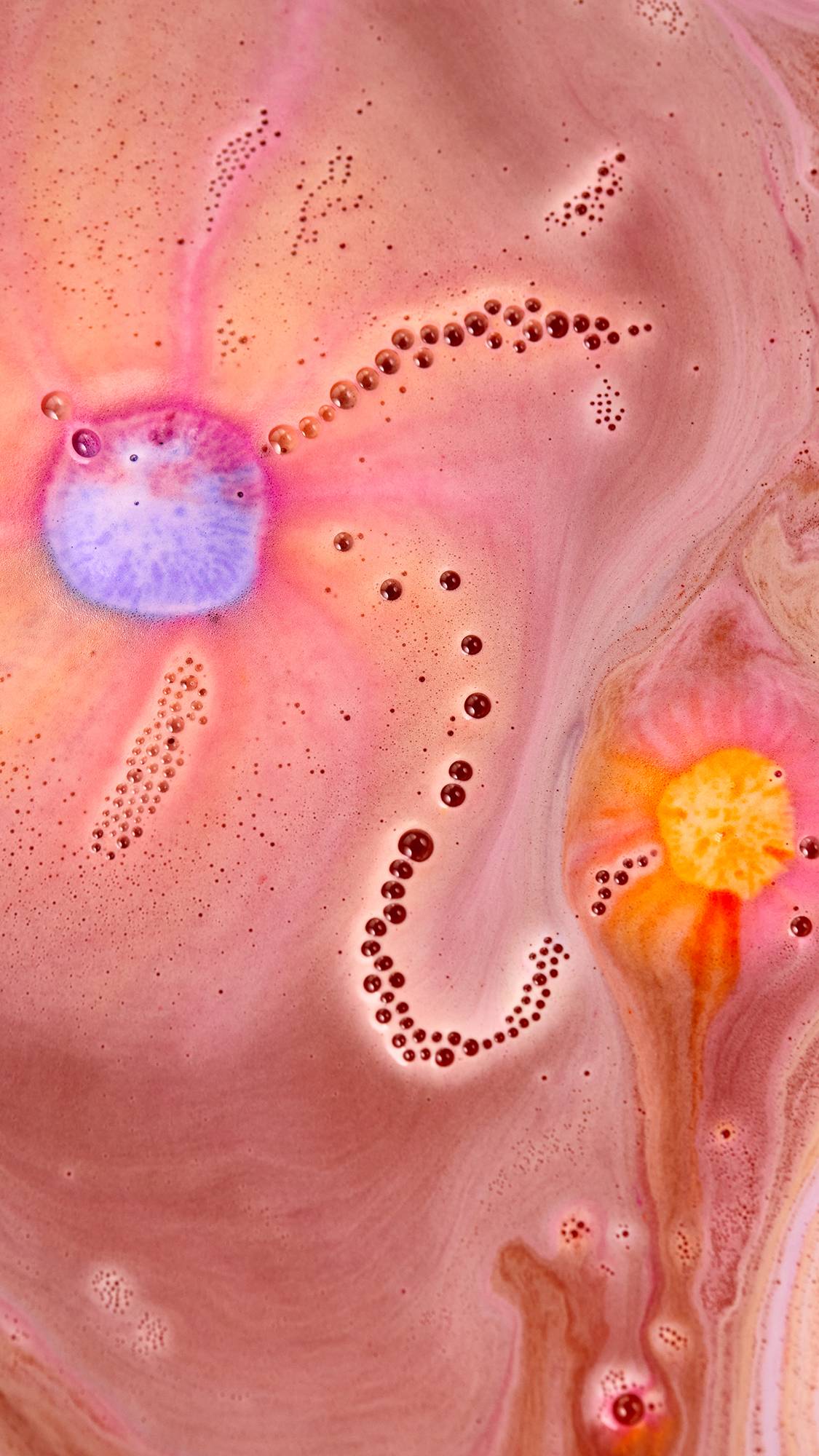 Chris The Carrot Gift