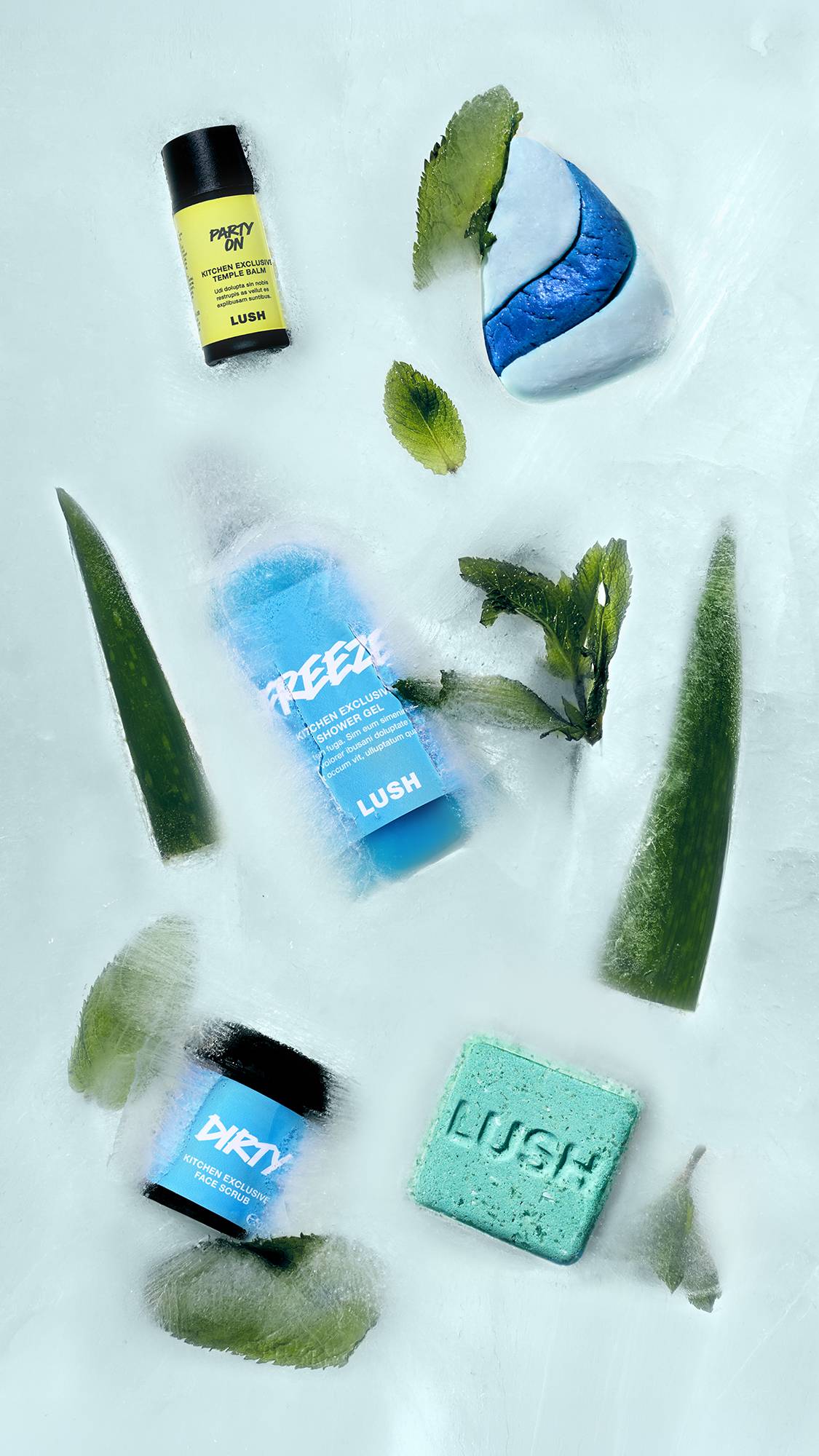 LUSH Kitchen サブスクリプション スタンダードボックス | LUSH