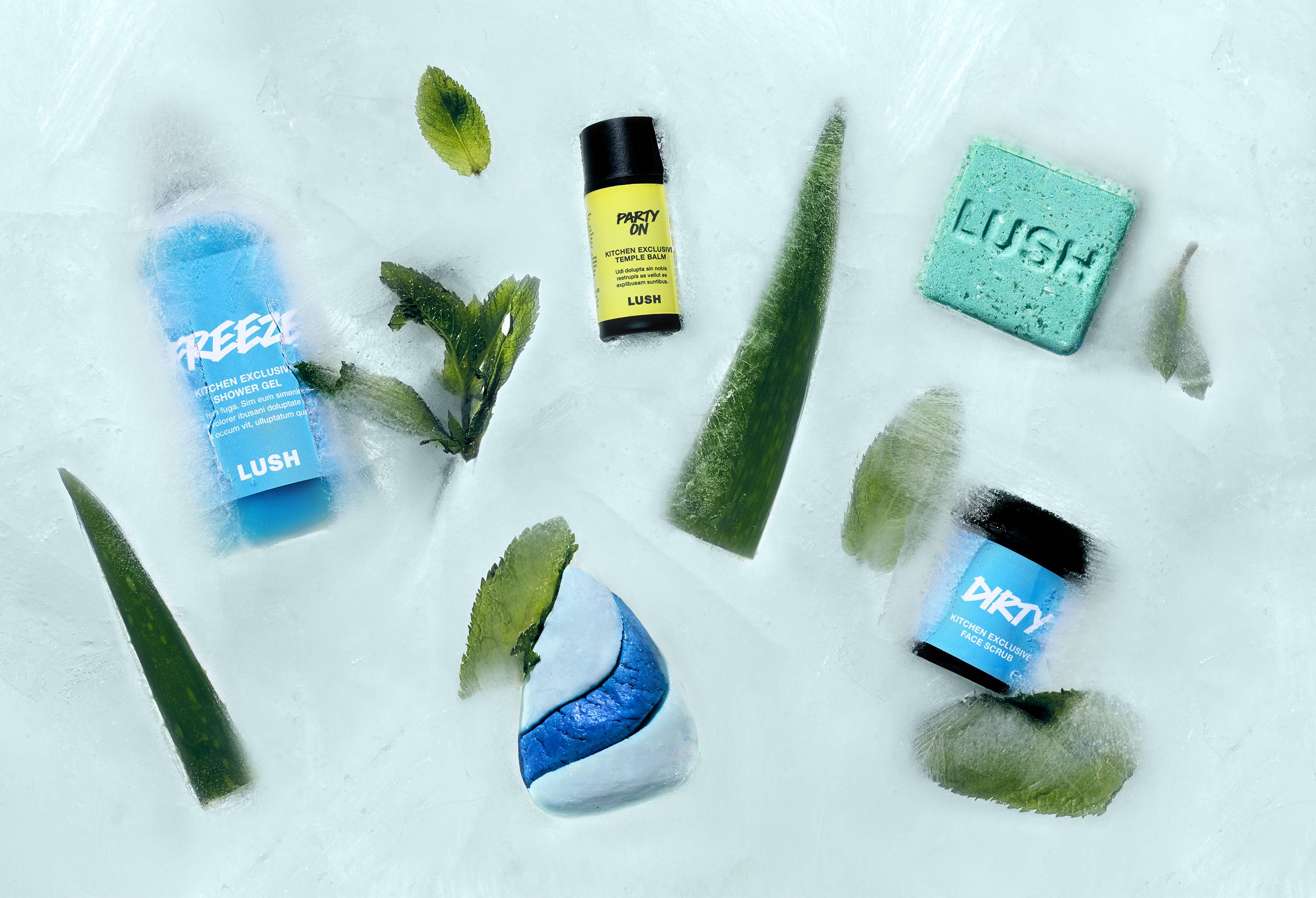 LUSH Kitchen サブスクリプション スタンダードボックス | LUSH