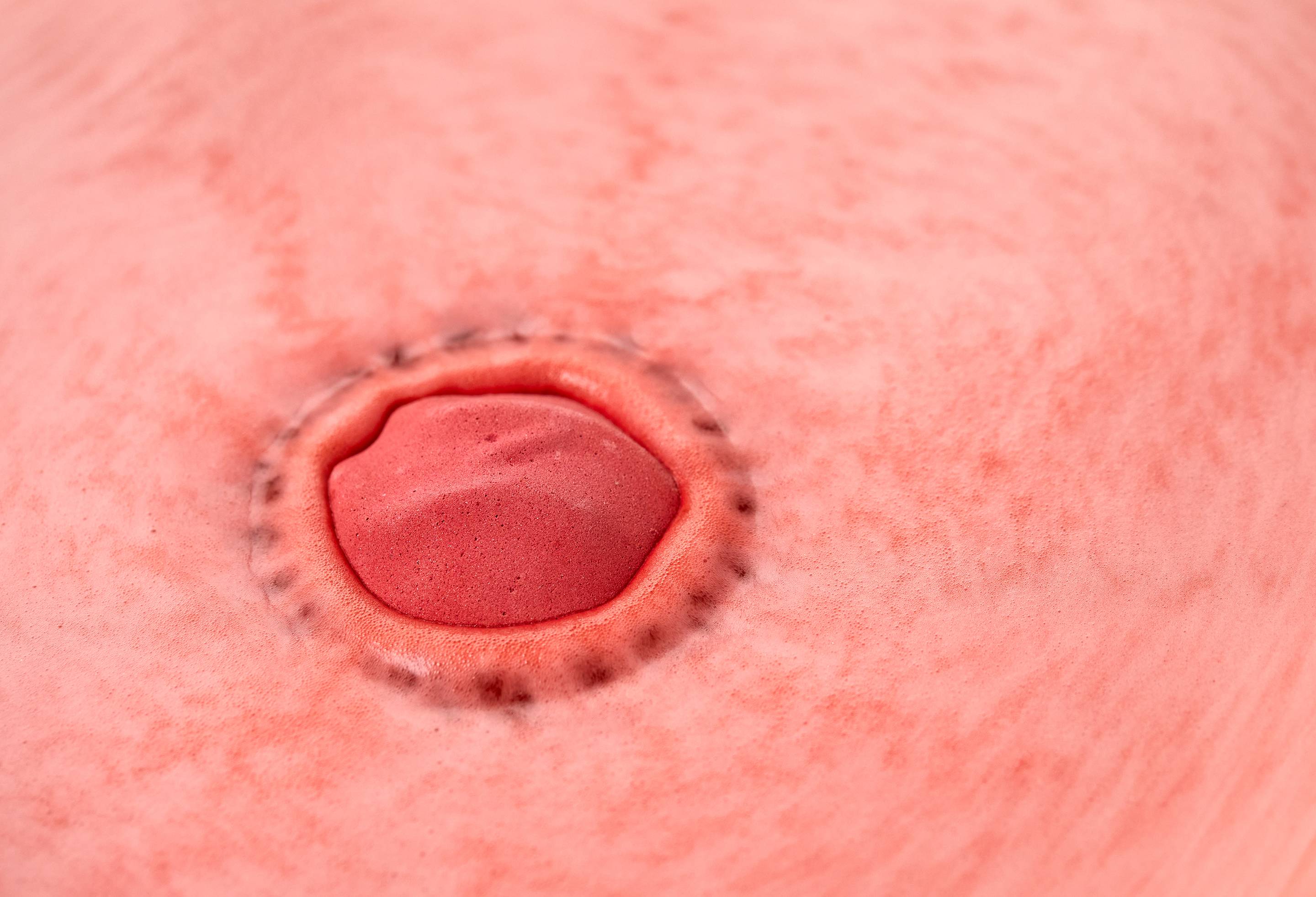 Sticky Dates Bath Bomb