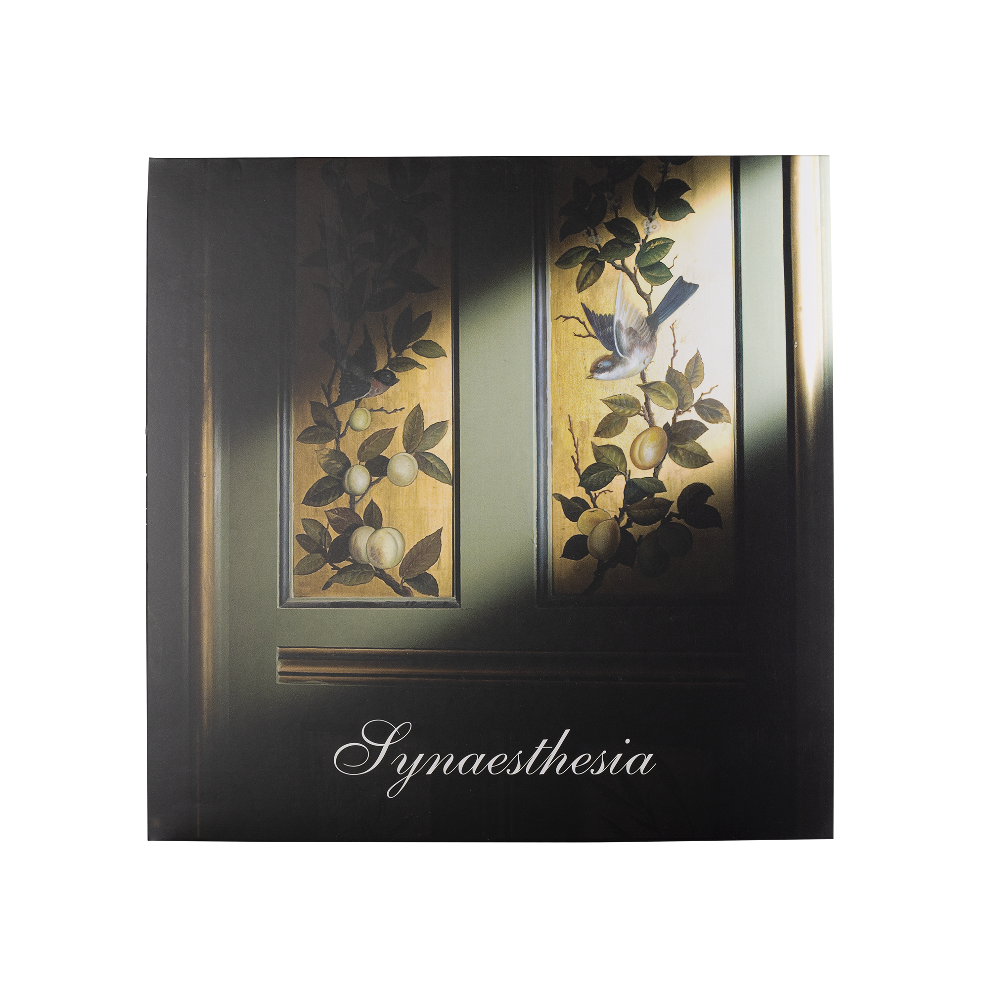 Synaesthesia Vinyl With USB