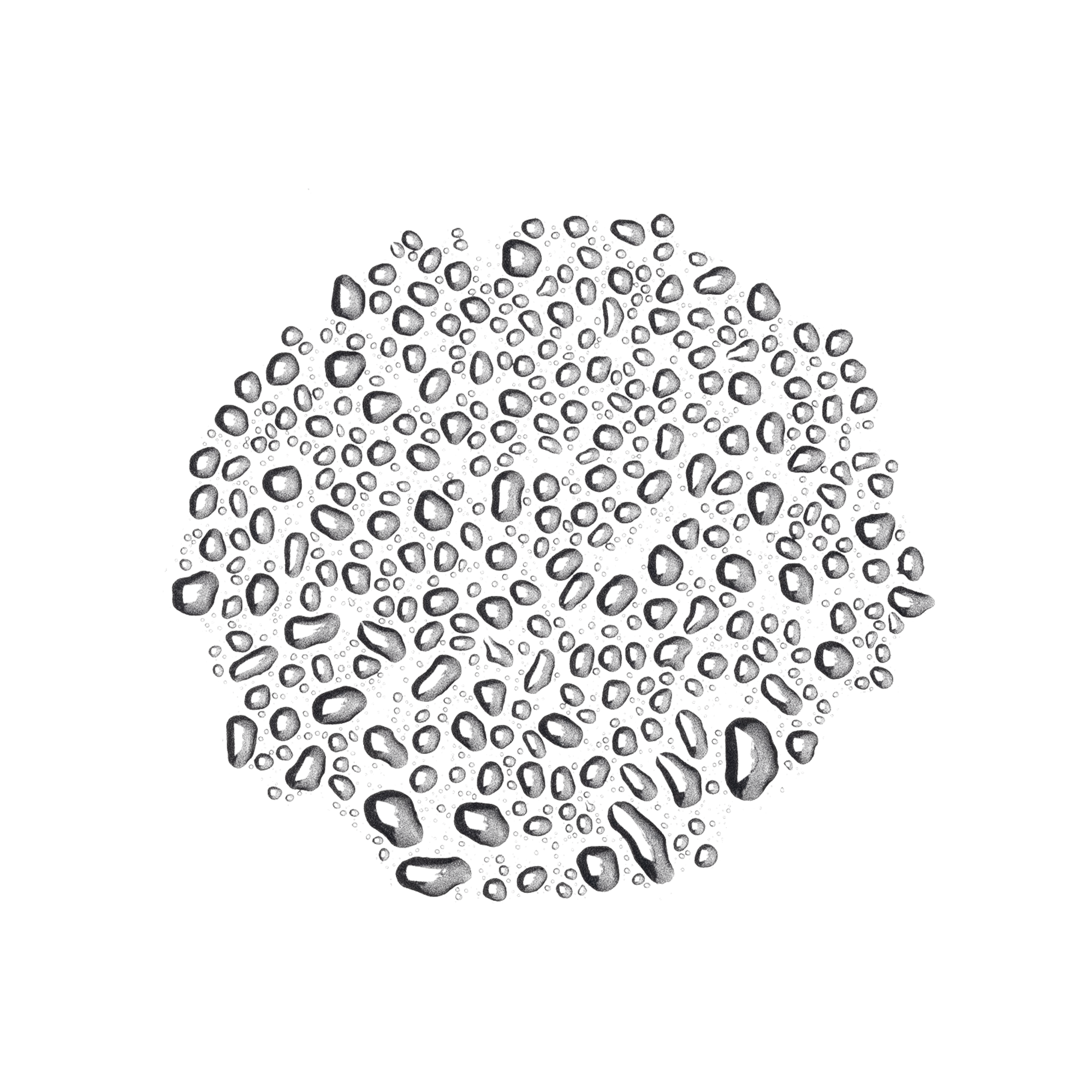 Tea Tree | Skin Toning Toner Water For Face