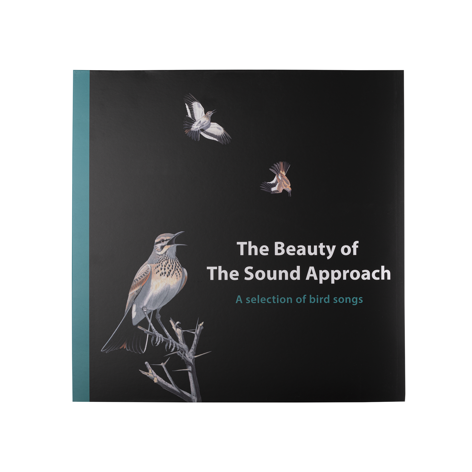 the_beauty_of_the_sound_approa