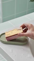 the_gooses_golden_egg_soap_eas