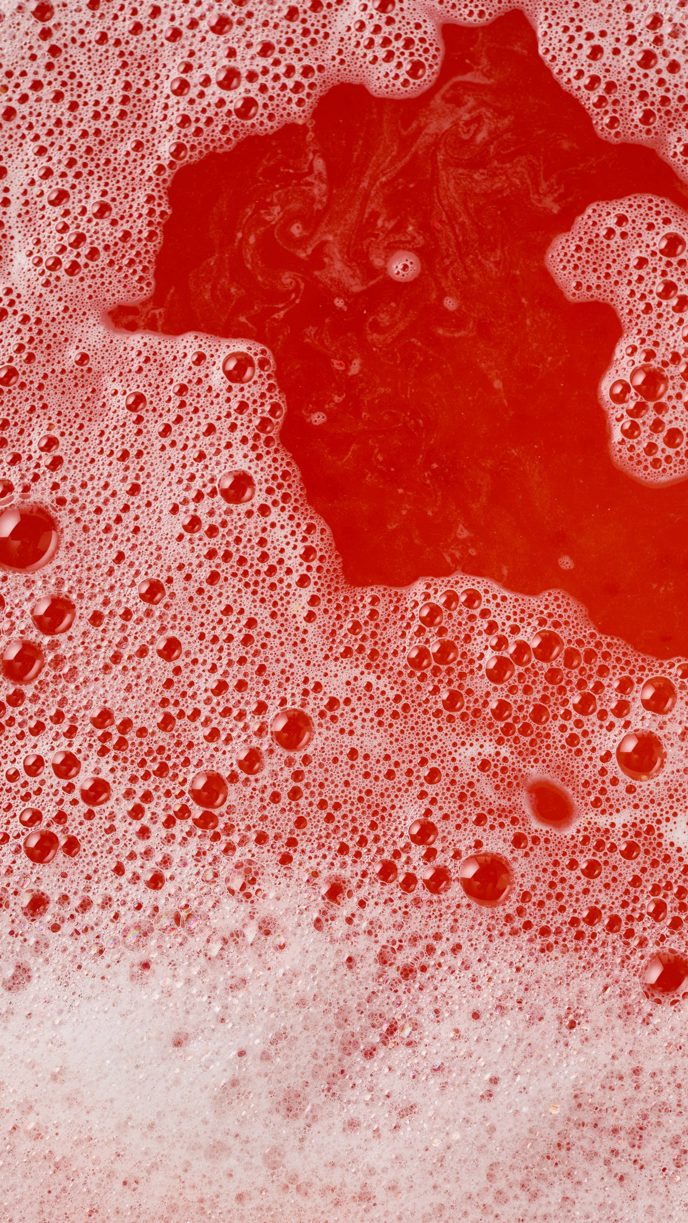 ザマジックオブクリスマス バブルバー | LUSH