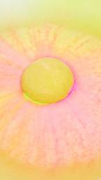 time_of_the_season_bath_bomb_w