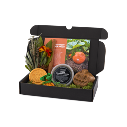 An image of LUSH - Ultra Fresh Box -
