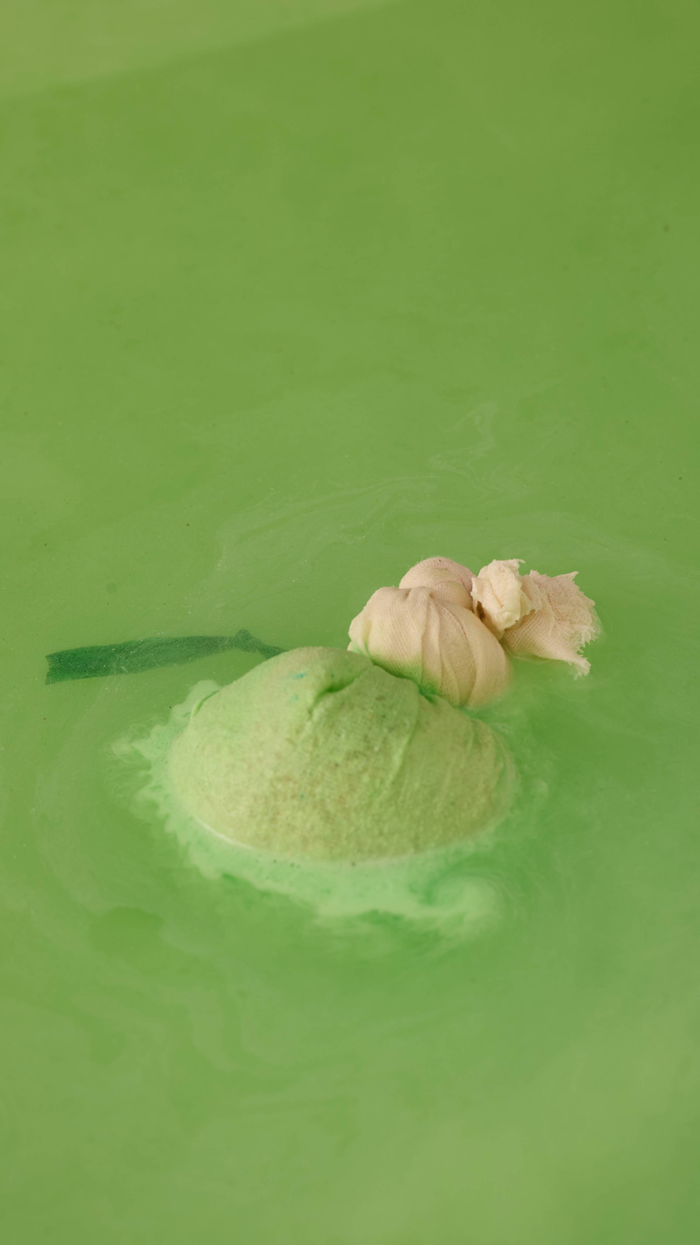 ウッドストック バスボム | LUSH
