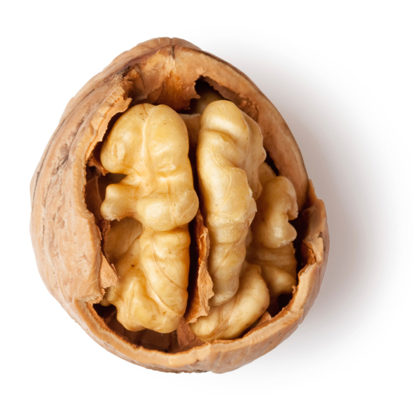 Walnut Oil - Image